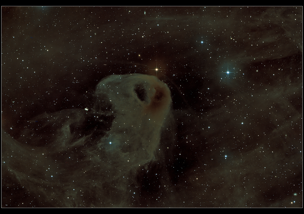 Baby Eagle Weida Siegfried Hakos Wolfatorium Barnard 207